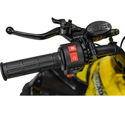 Дитячий акумуляторний квадроцикл RENEGADE HIPERFECT 125CC Жовтий Дитячий акумуляторний квадроцикл RENEGADE HIPERFECT 125CC Жовтий