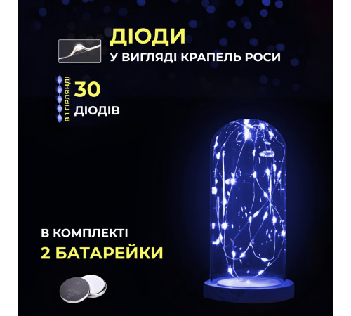 Гірлянда Роса нитка 30 LED, 3 м, на батарейках, синій Гірлянда Роса нитка 30 LED, 3 м, на батарейках, синій